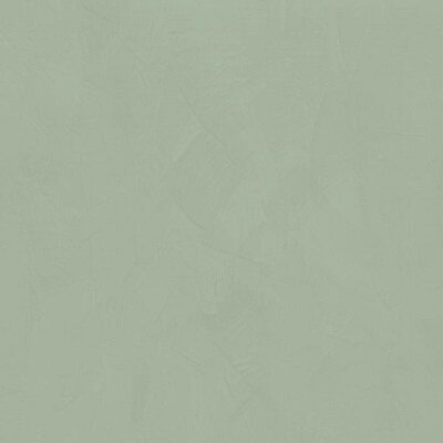 CORN LICHENE MAT 6MM 120X240 R