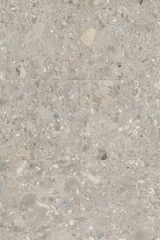 Ceppo Grigio 60x60 Rett R11