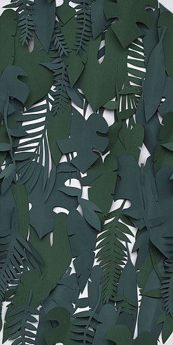 Midori 50x100