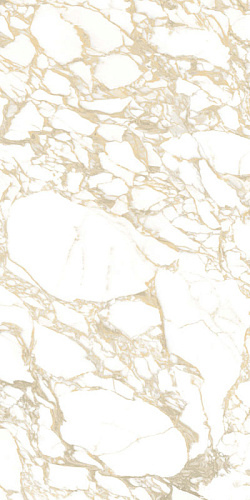Gold D. Polished 10x60