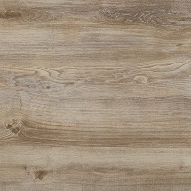 Cinnamon Rettificato 20mm 40x120