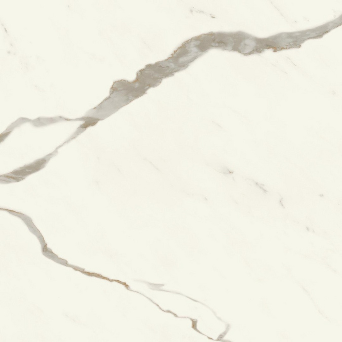 Marvel X Calacatta Sublime 60x120 Matt
