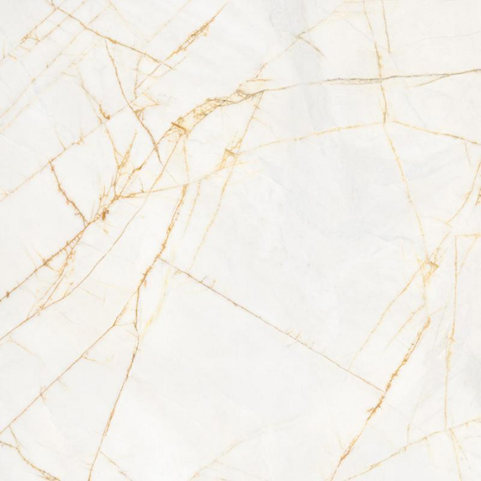 Golden Spider 60x120 Lux