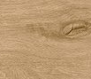 Roots 20x180