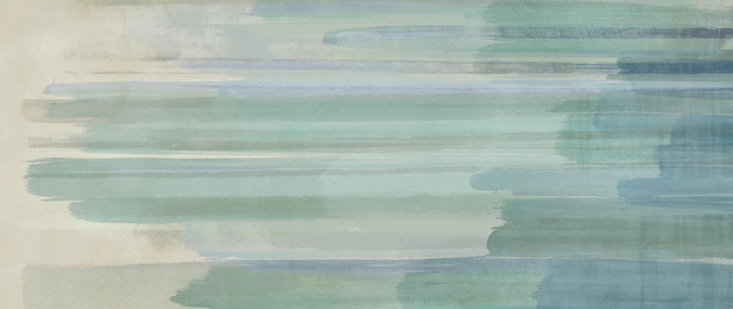 Brush 50x120