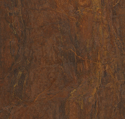 Bronzite  Natural Plus 120х120