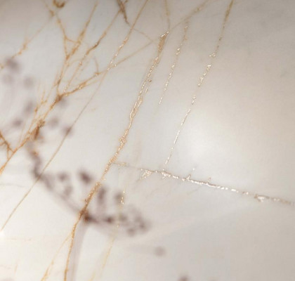 Golden Spider 60x120 Lux
