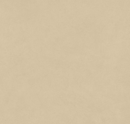 Sand 120x278